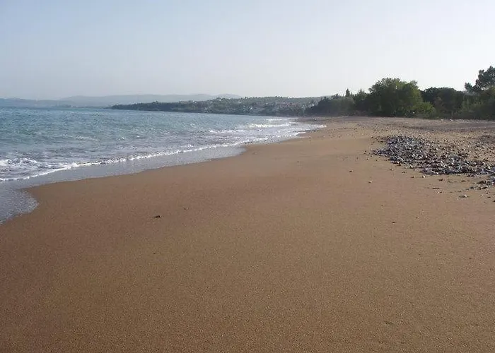 Casa de Férias Summertime